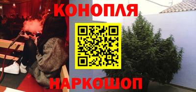СК Новозыбков