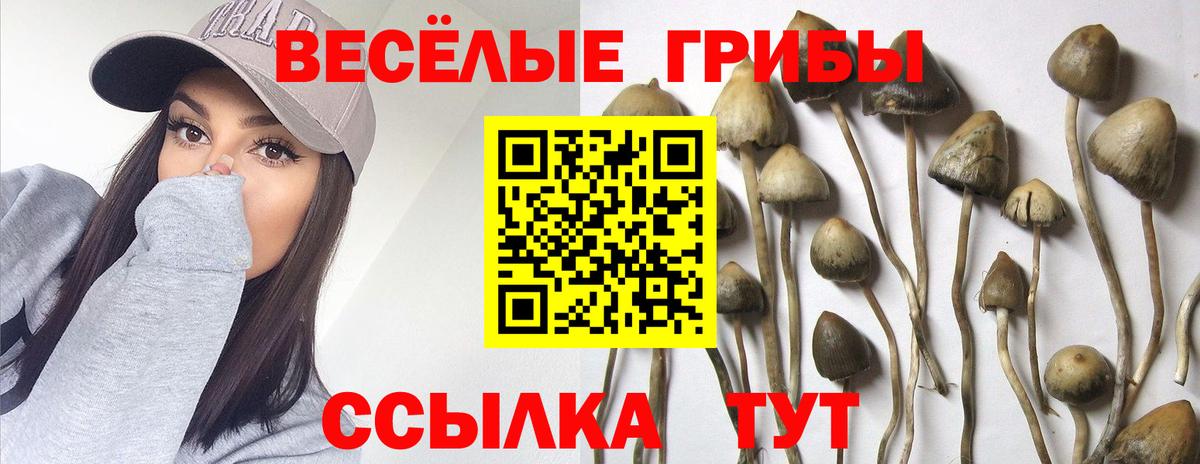 Соль-Илецк  Псилоцибиновые грибы GOLDEN TEACHER  где можно купить   Вход с VPN 
